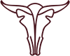 Nebo Favicon