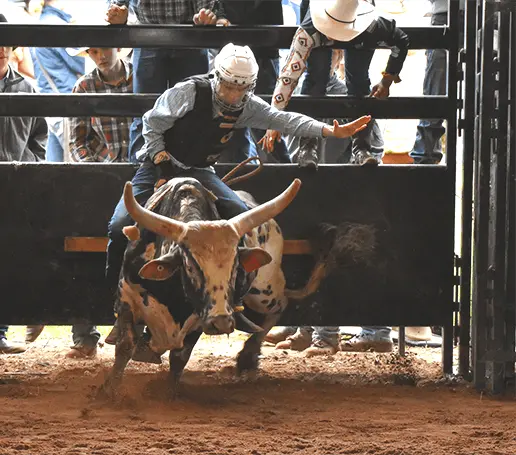 Nebo Rodeo Weekend Event